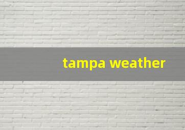 tampa weather